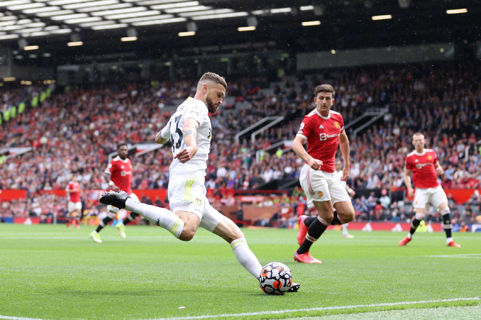 是这篇文章 是这篇文章